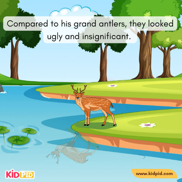 The Deer And His Antlers-7