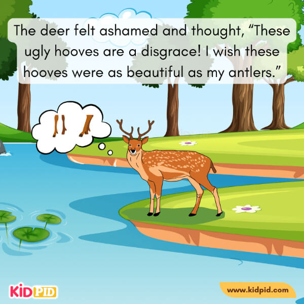 The Deer And His Antlers-8