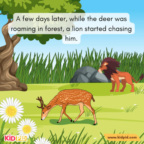 The Deer And His Antlers-9