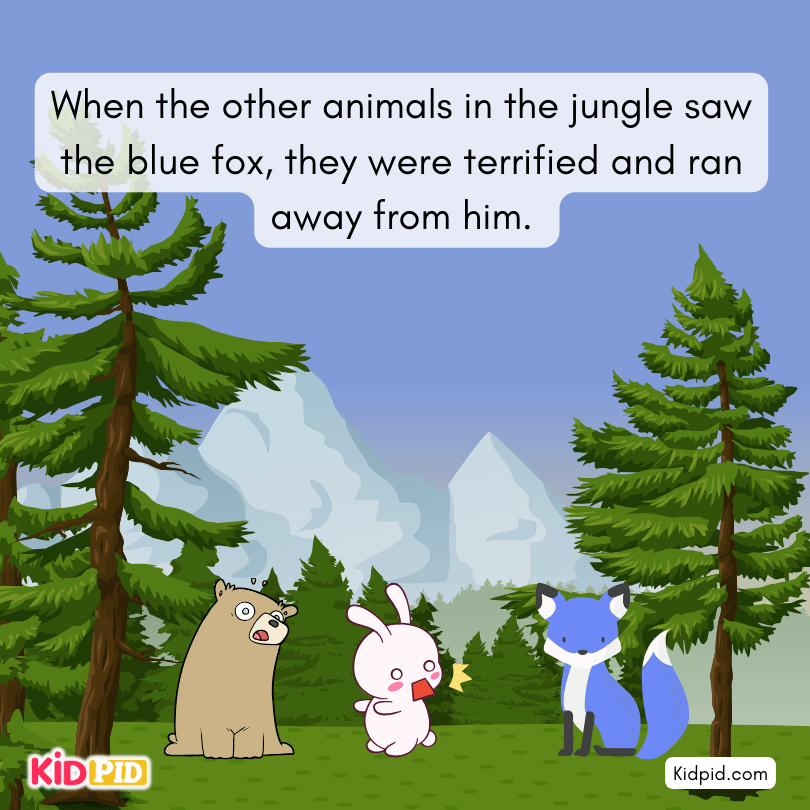 Animal Was terrified from blue fox