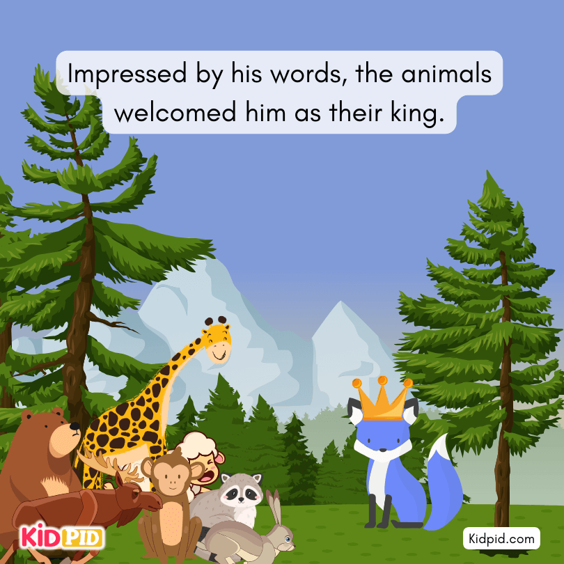  Animals Welcome the fox