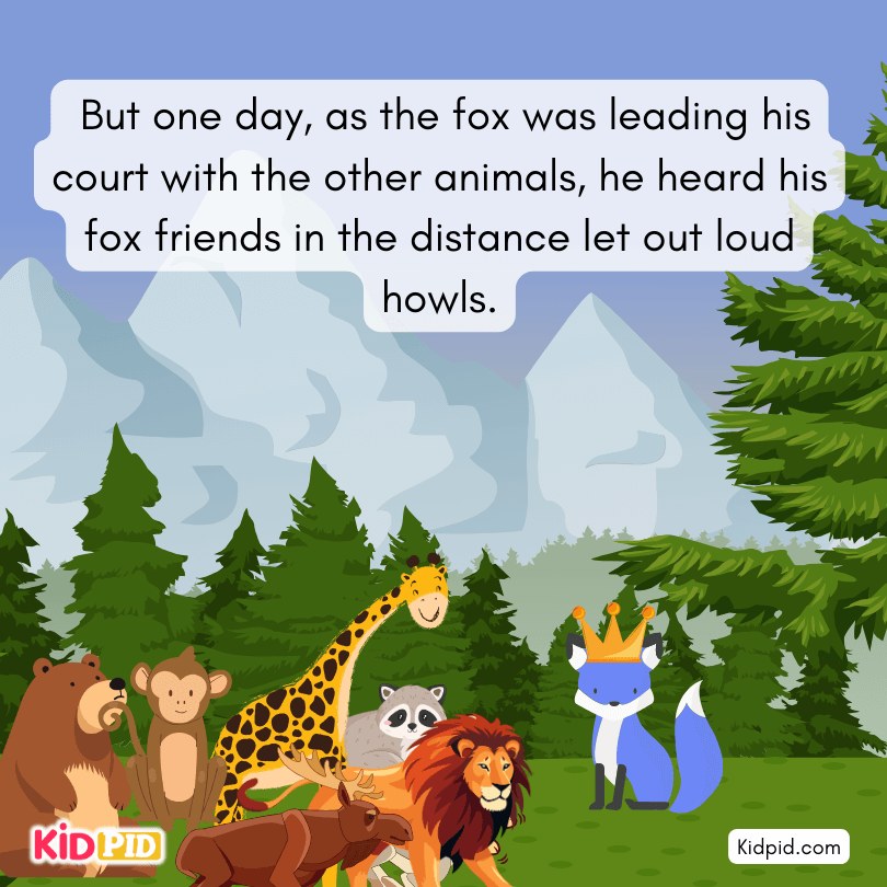 Animal was learn truth about fox