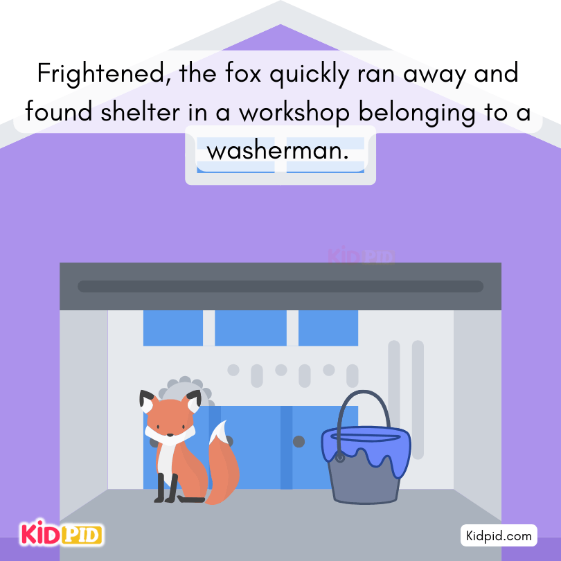 Fox found the shelter