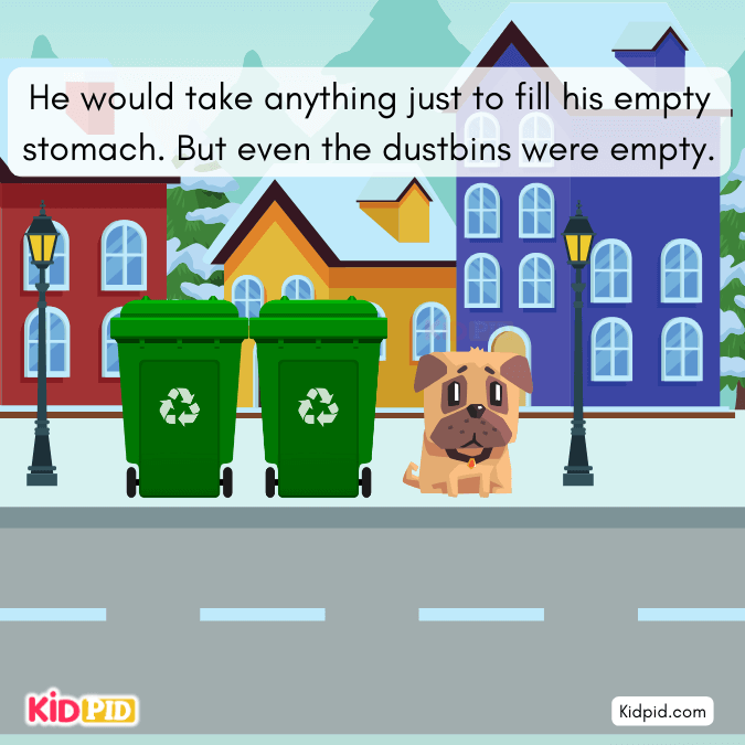 dog is very hungry but dustbins were empty