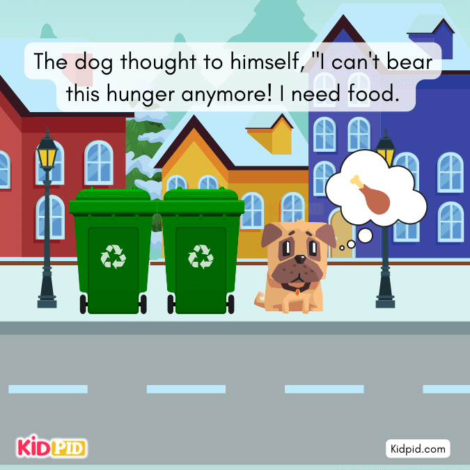 dog needs food