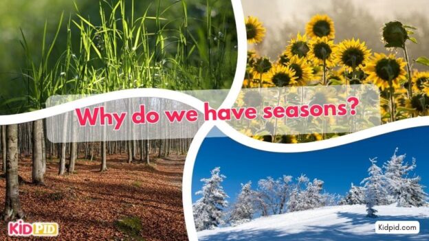 Why do we have seasons