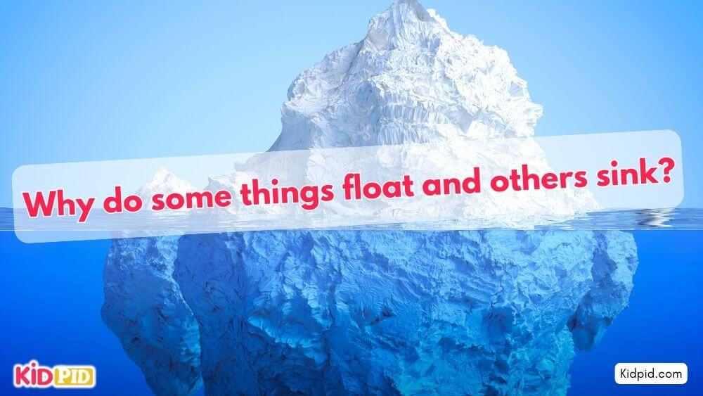 Why do some things float and others sink