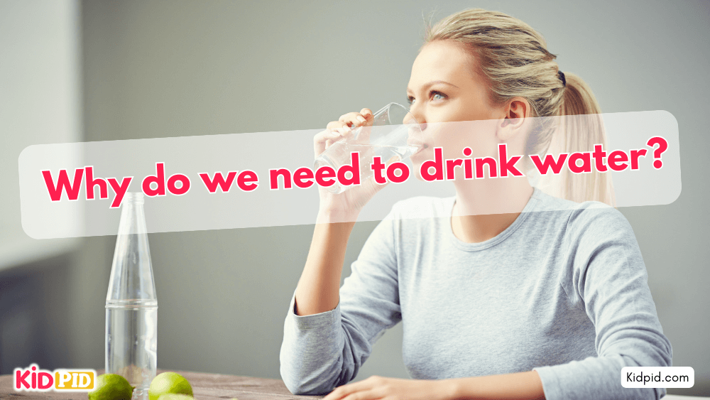 Why do we need to drink water