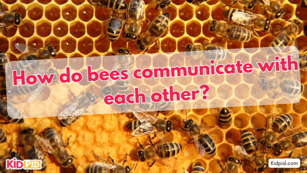 How do bees communicate with each other