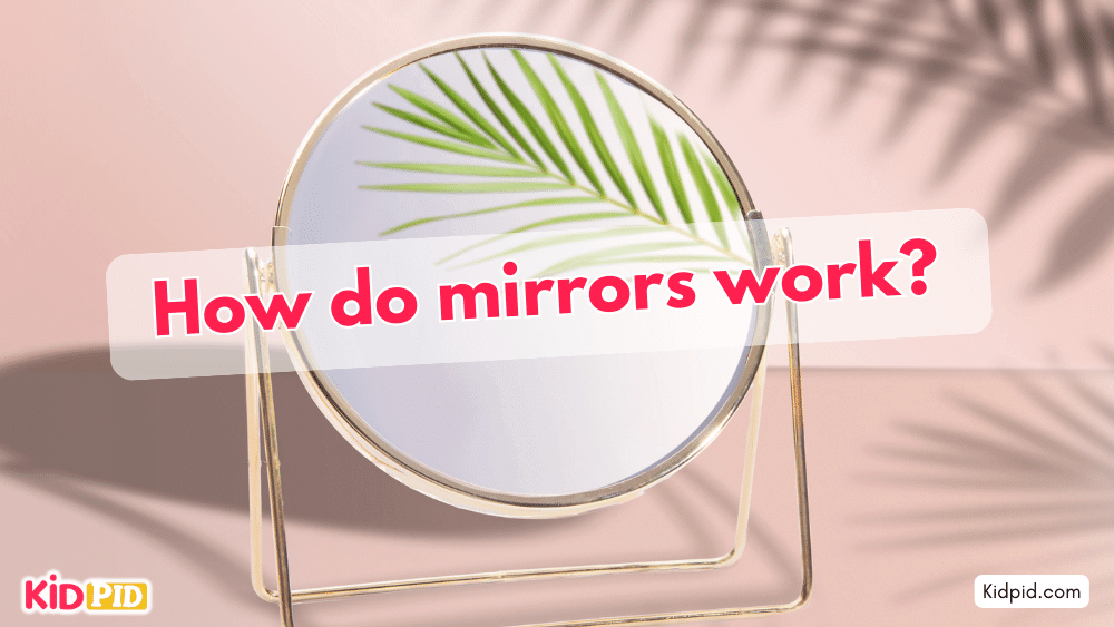 How do mirrors work