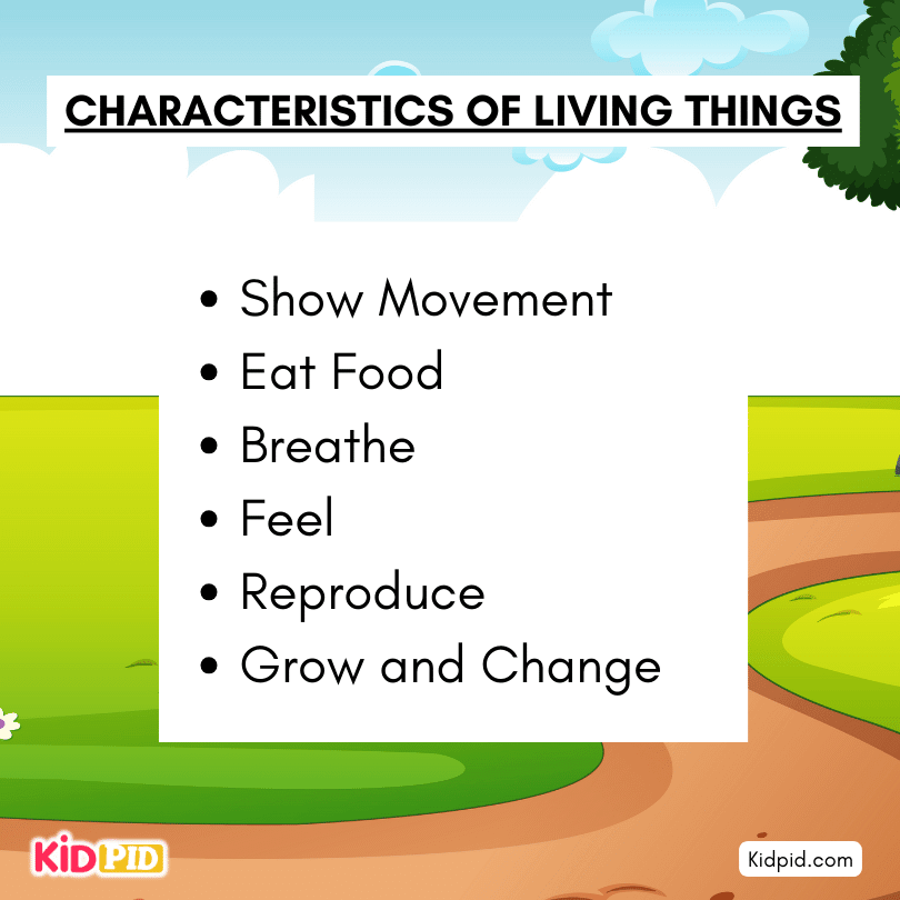 characteristic of living thing