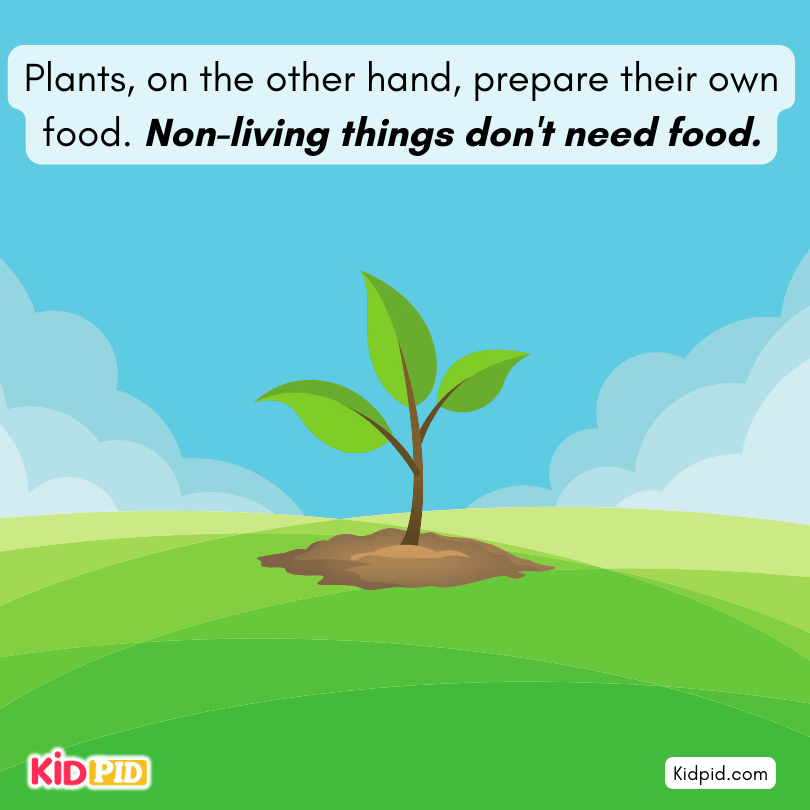 Non-living things don't need food.