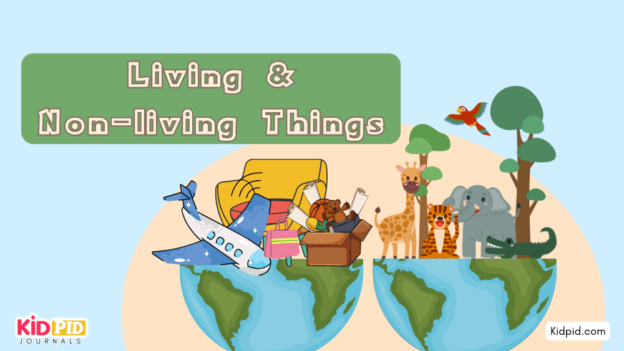 Living & Non-living Things