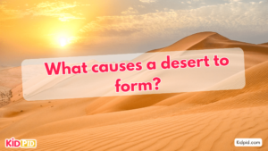 How are Deserts formed? Four Types of Deserts - Kidpid
