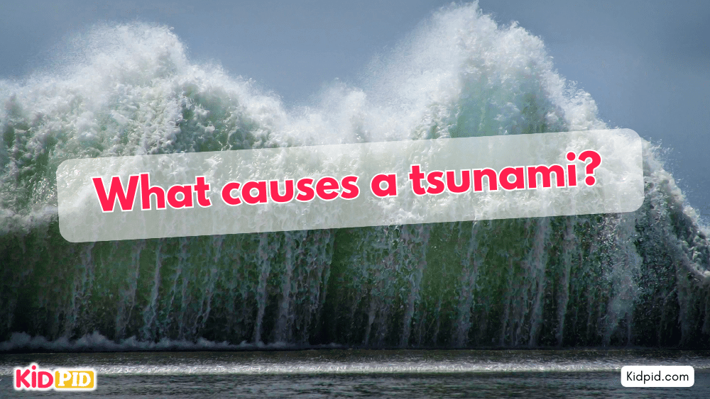 What causes a tsunami
