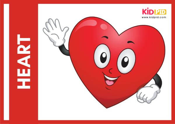 Heart - 2d Shapes Posters