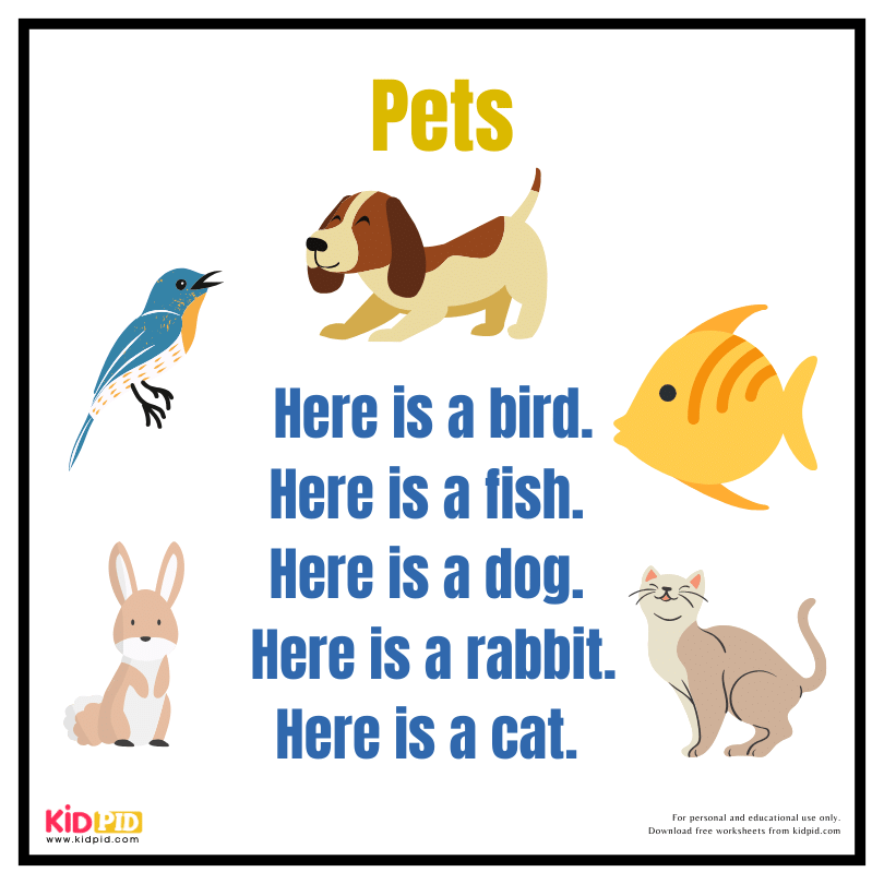 Reading Fluency Book - Pets
