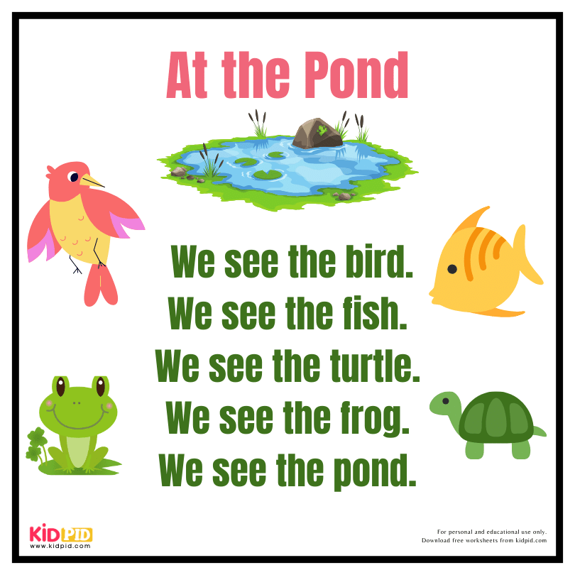 Reading Fluency Book - At The Pond