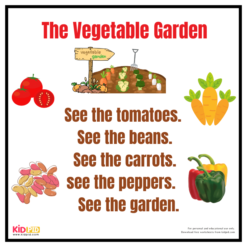 Reading Fluency Book - The Vegetable Garden