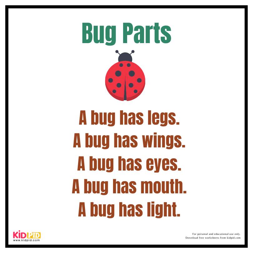 Reading Fluency Book - Bug Parts