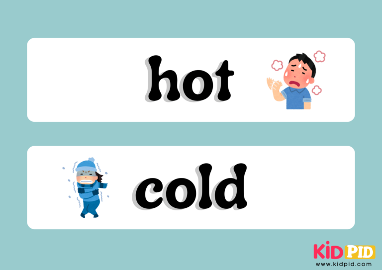Antonyms Flashcards For Grade 1 - Kidpid