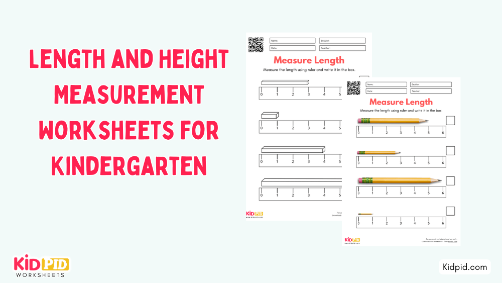 Length and Height Measurement Worksheet for Kindergarten - Kidpid