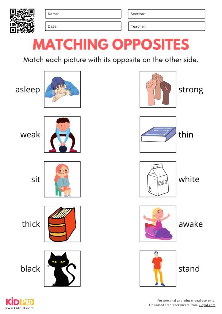 Matching Opposites Pictures Worksheet for Kindergarten