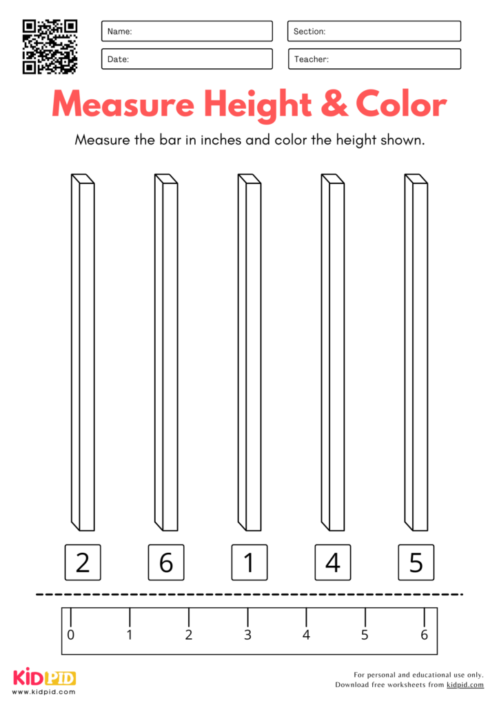 Measure & Color Worksheet for Kindergarten