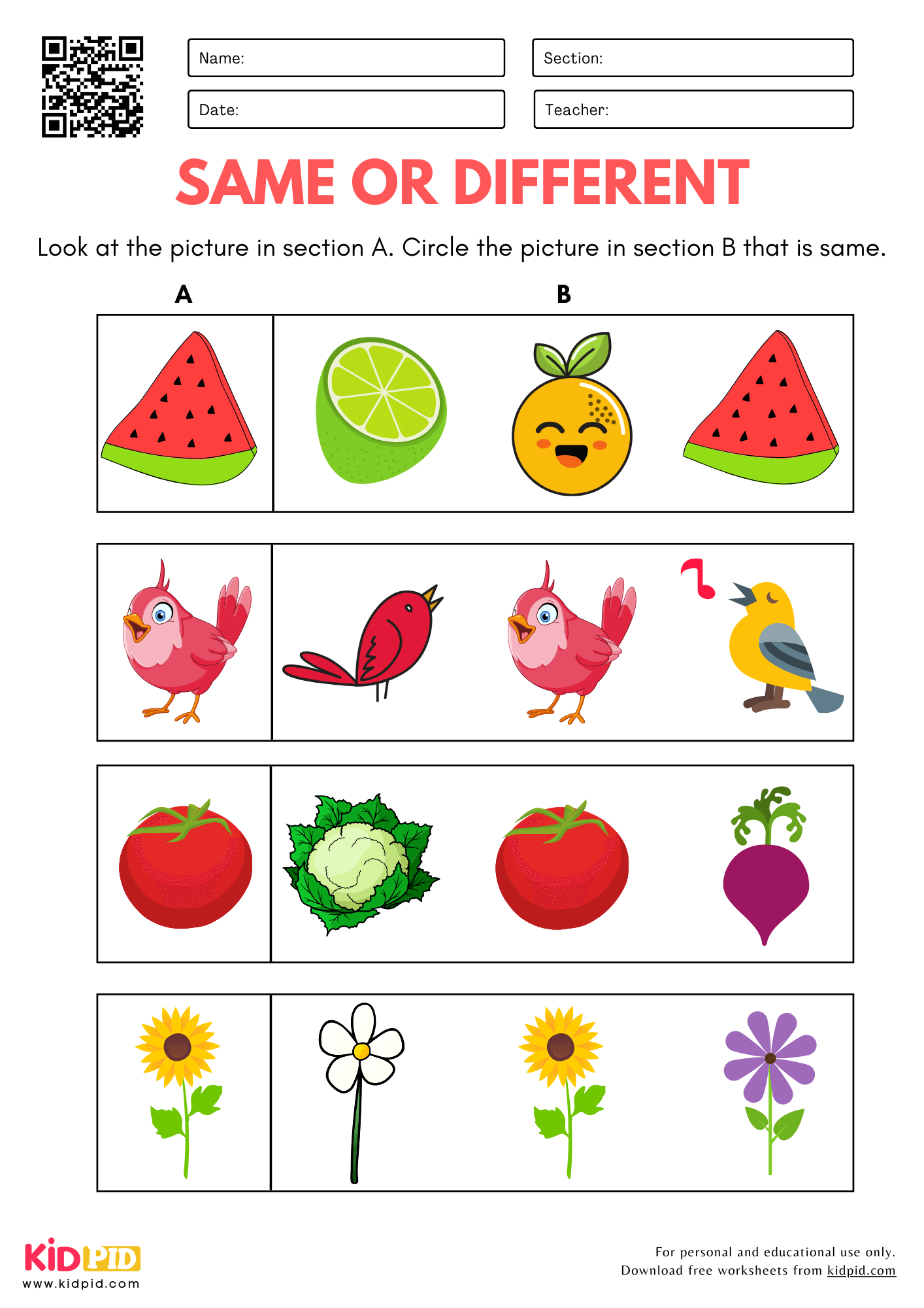 Same or Different Identification Worksheet for Kindergarten - Kidpid