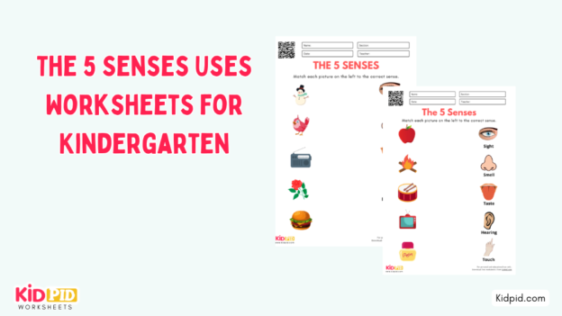 The 5 Senses Uses Worksheet for Kindergarten - Kidpid