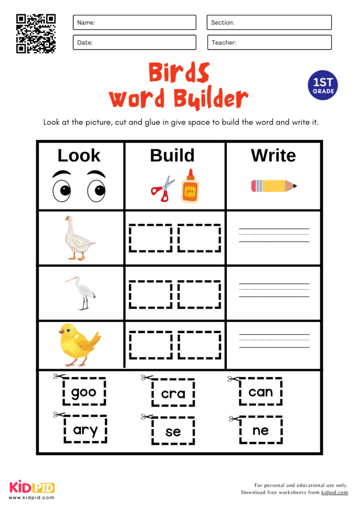 Birds Word Builder Worksheet For Grade 2
