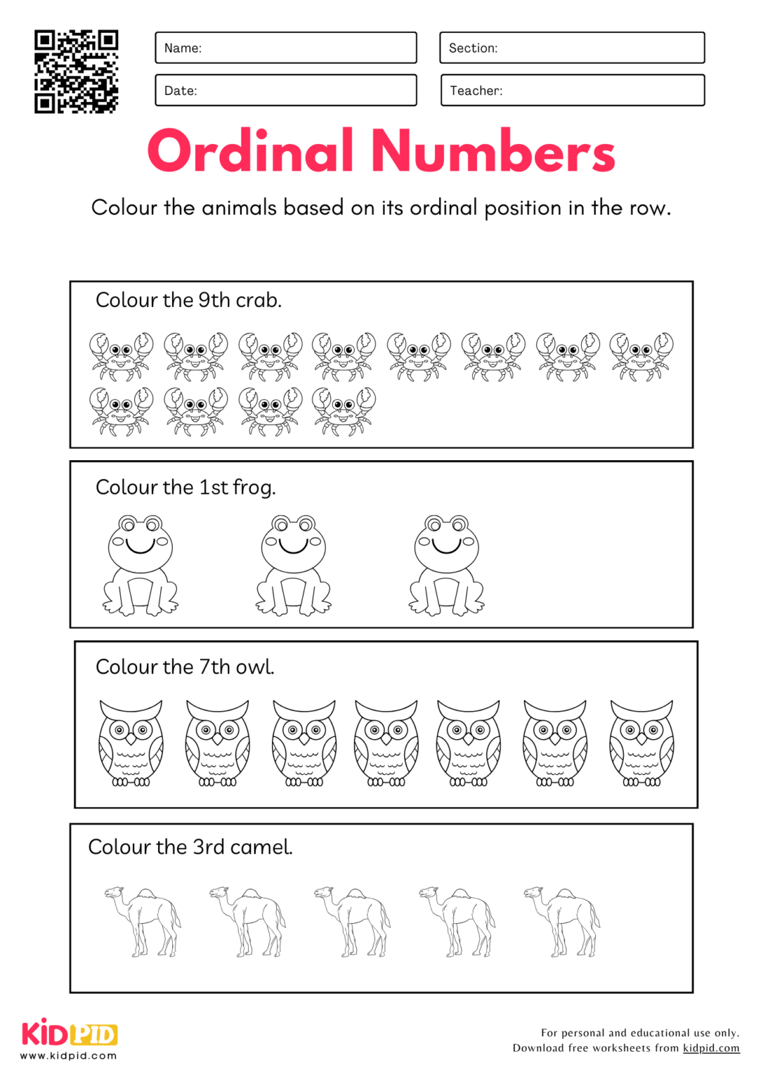 Ordinal Position Worksheets For Grade 1 - Kidpid