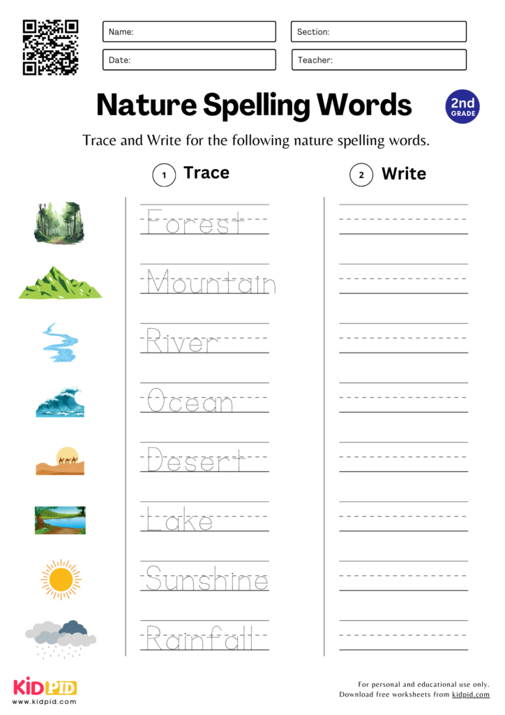 Trace & Write Spelling Words Worksheet For Grade 2