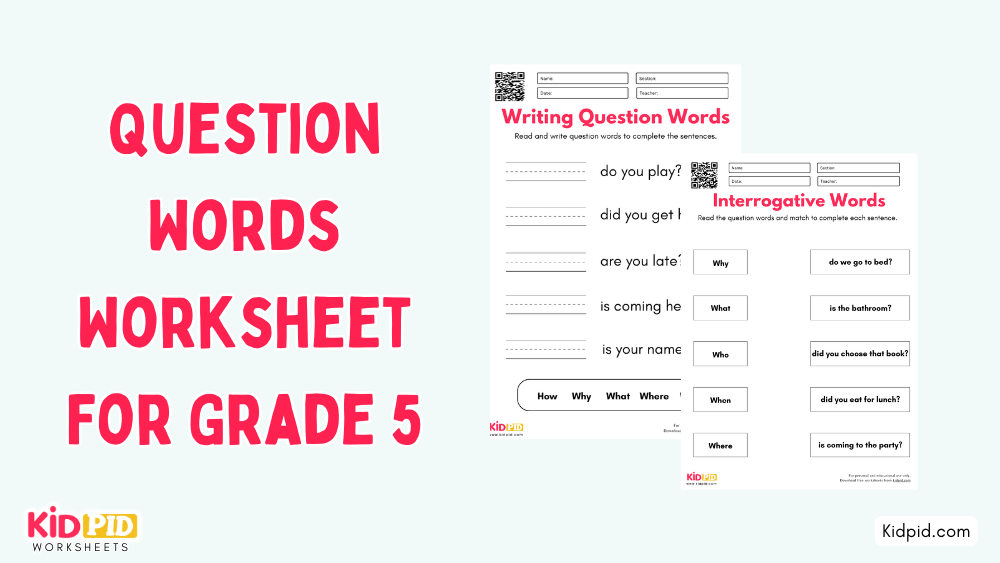 Question Words Worksheet For Grade 5