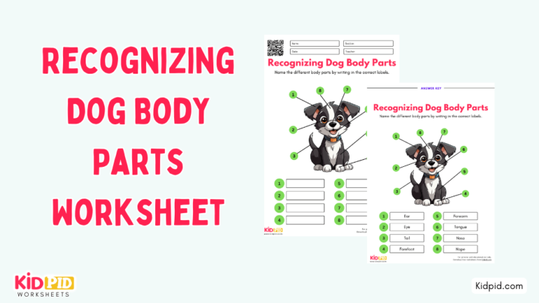 Recognizing Dog Body Parts Worksheet - Kidpid