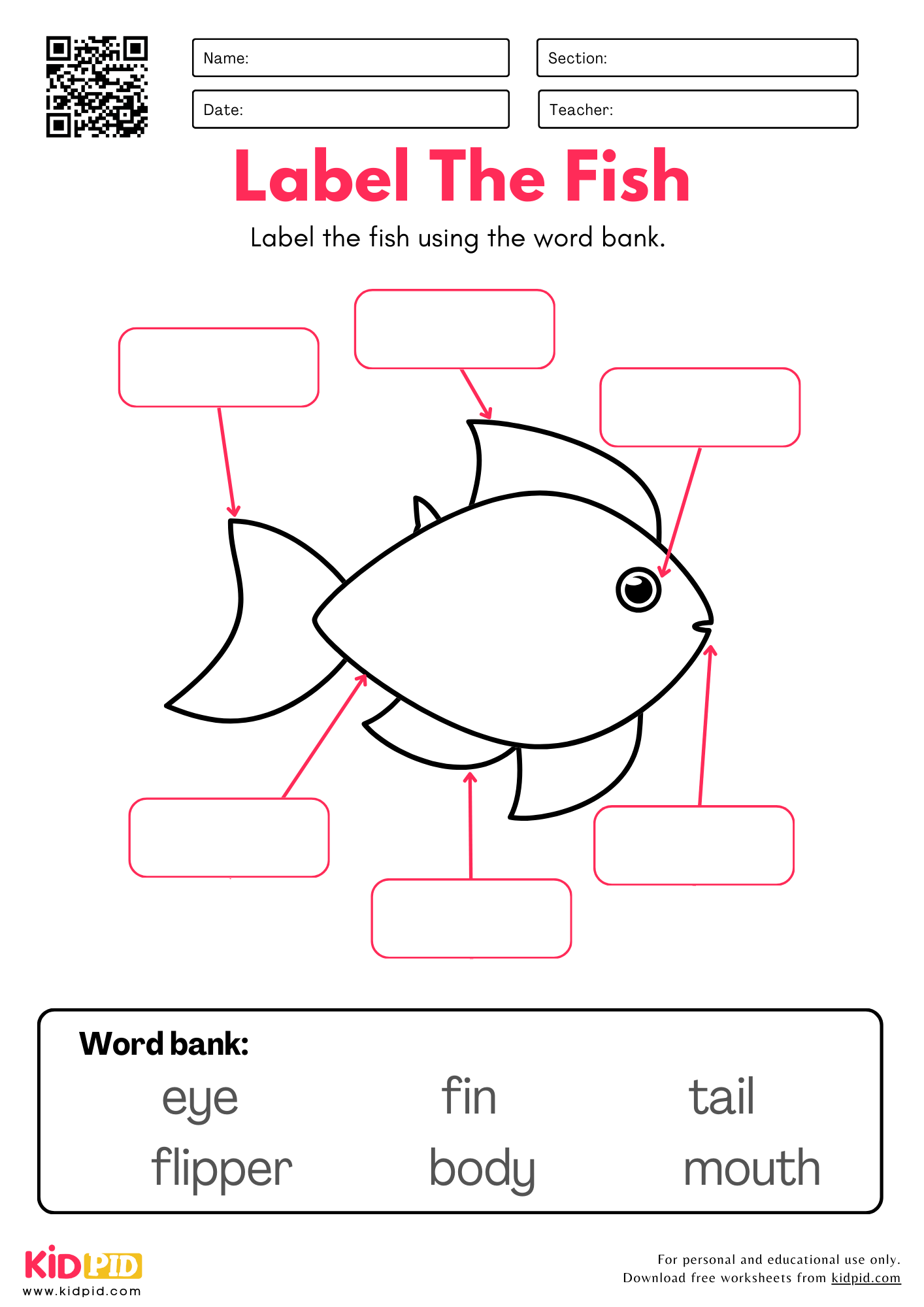 Label The Fish Worksheet