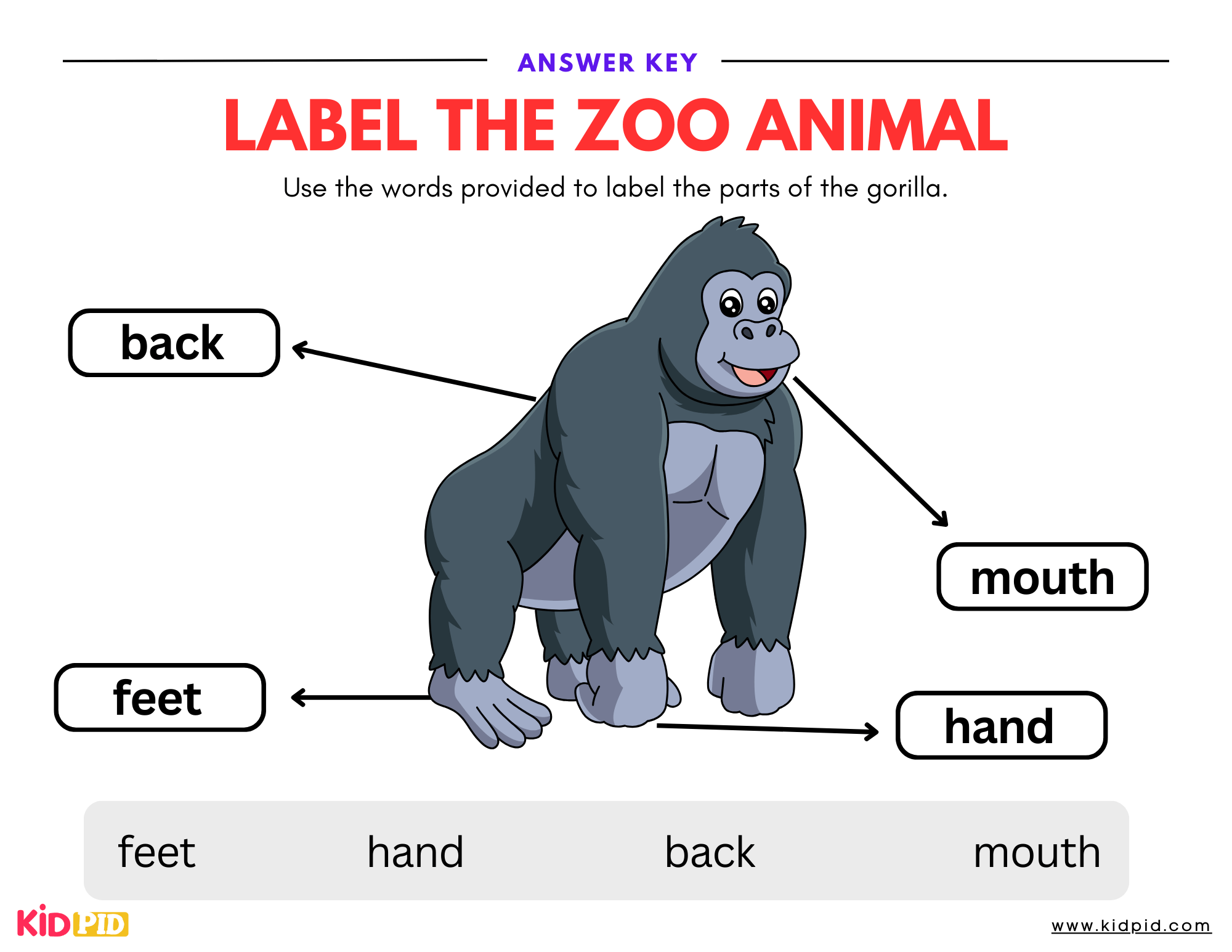 Gorilla - Label The Zoo Animal Worksheet