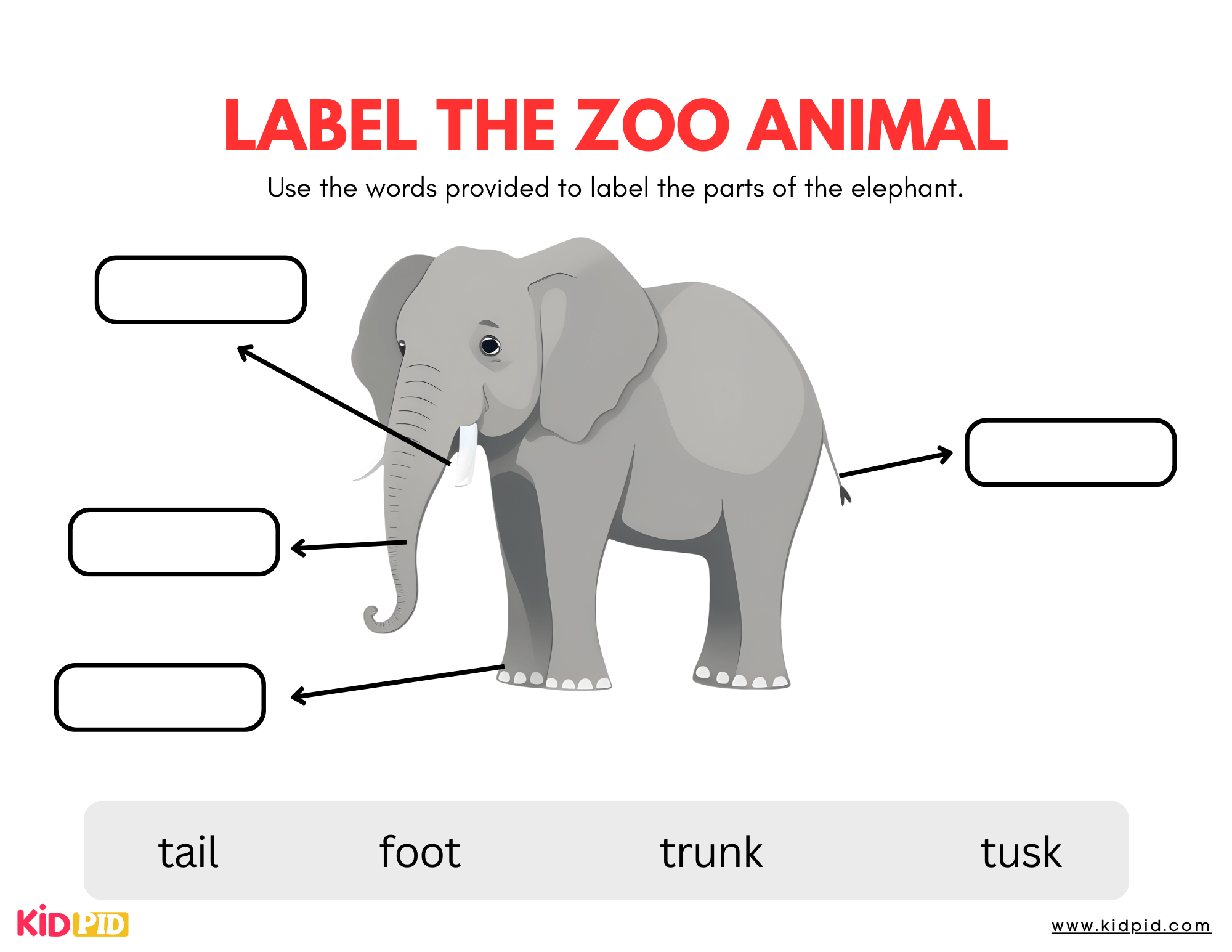 Elephant - Label The Zoo Animal Worksheet