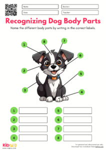 Recognizing Dog Body Parts Worksheet - Kidpid