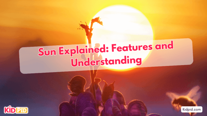 Sun 101: A Comprehensive Guide To The Sun's Features