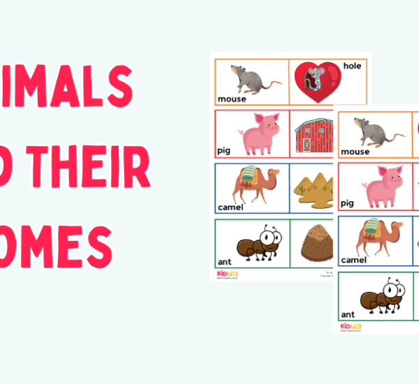 Animals and Their Homes