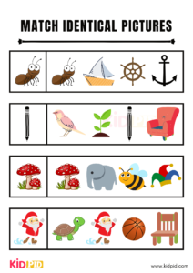 Match Identical Pictures Workbook - Kidpid