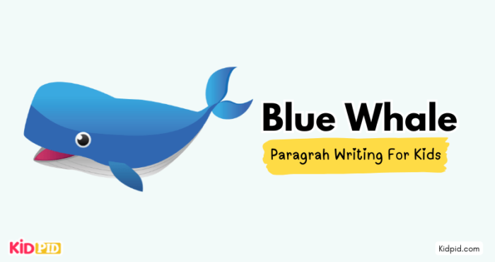 Paragraph on 'Blue Whale' - Kidpid
