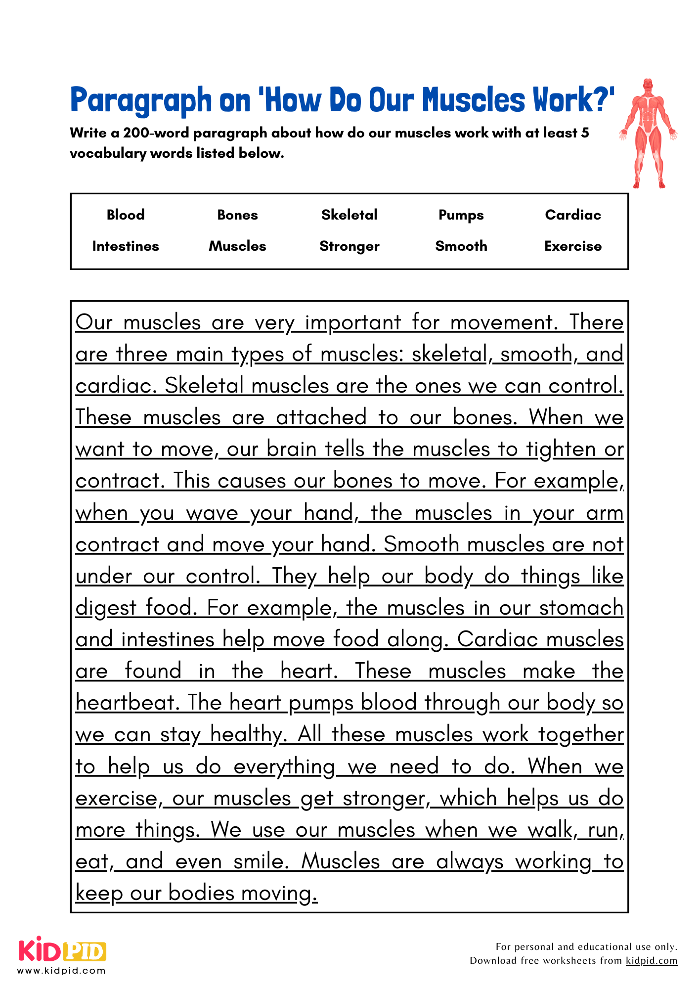 Paragraph on 'How Do Our Muscles Work?' - 200 Words