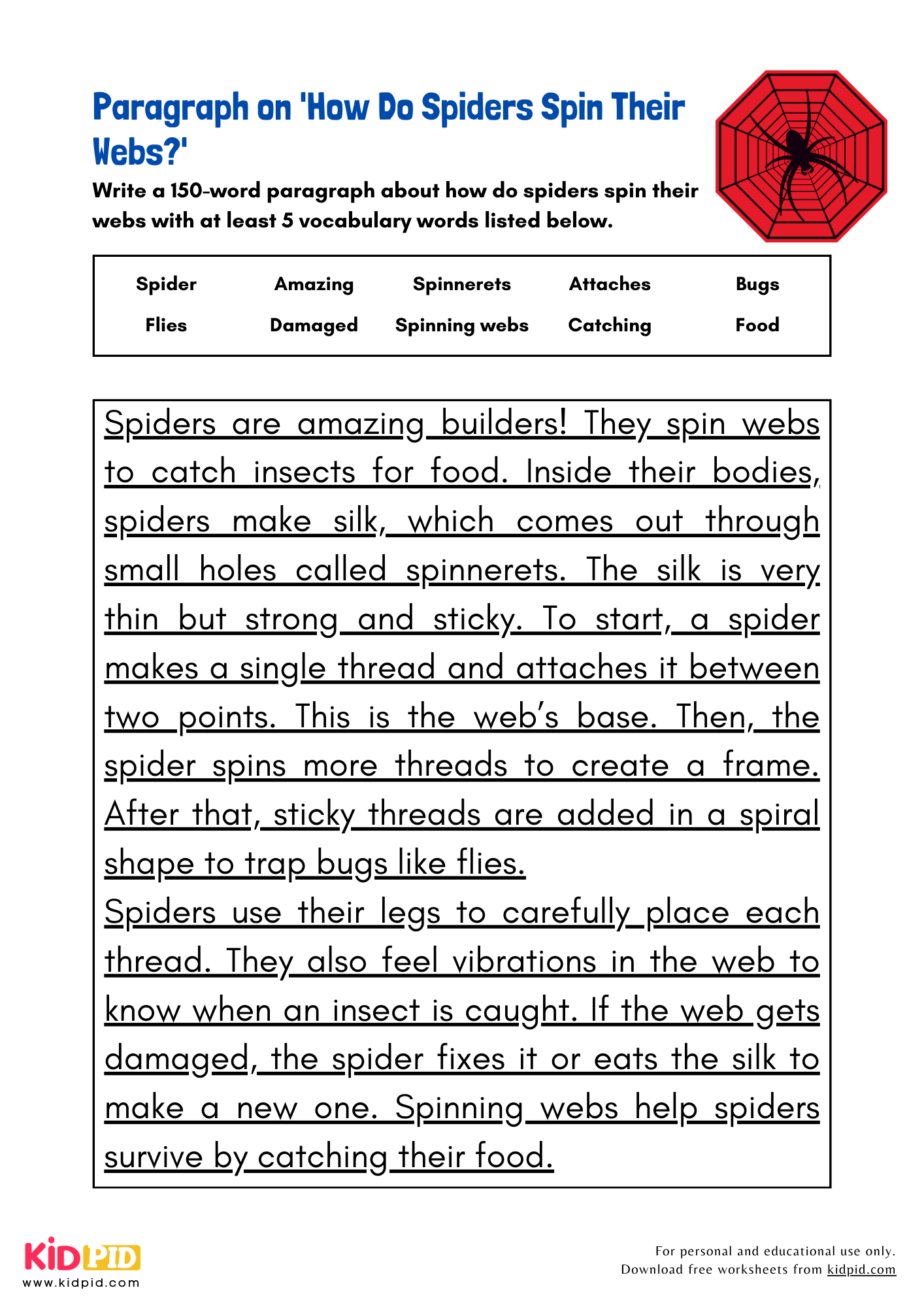 Paragraph on 'How Do Spiders Spin Their Webs?' - 150 Words