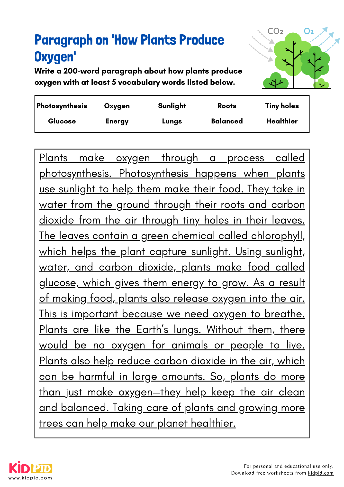 Paragraph on 'How Plants Produce Oxygen' - 200 Words