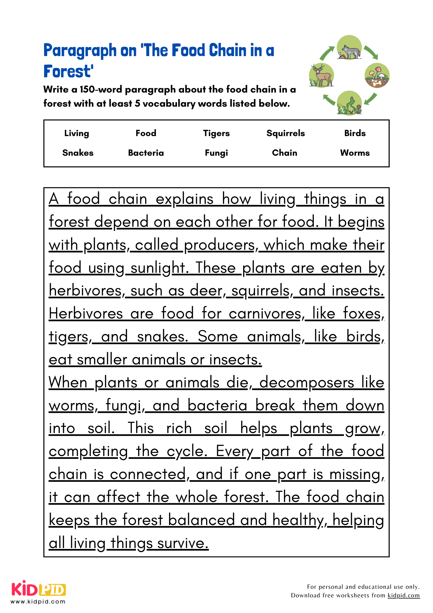 Paragraph on 'The Food Chain in a Forest' - 150 Words