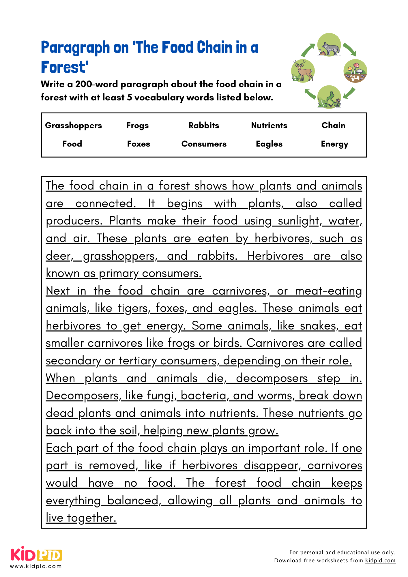 Paragraph on 'The Food Chain in a Forest' - 200 Words