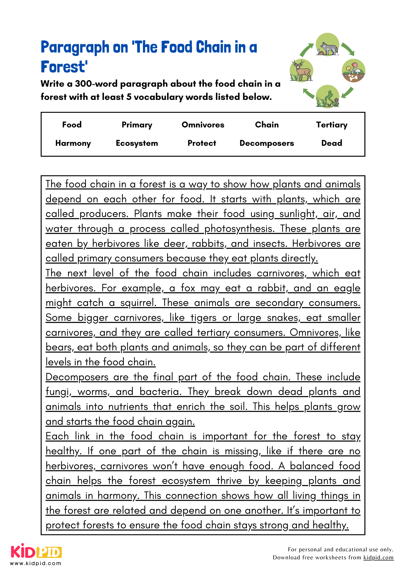 Paragraph on 'The Food Chain in a Forest' - 300 Words