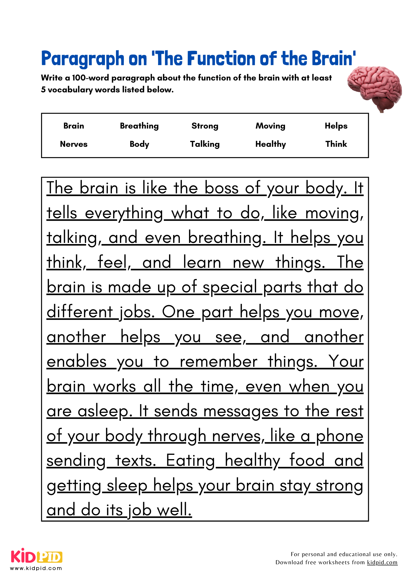 Paragraph on 'The Function of the Brain' - 100 Words